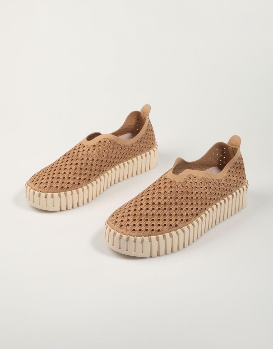 ZAPATOS SPORT ILSE TULIP 3373 en color Hielo