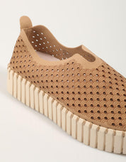 ZAPATOS SPORT ILSE TULIP 3373 en color Hielo