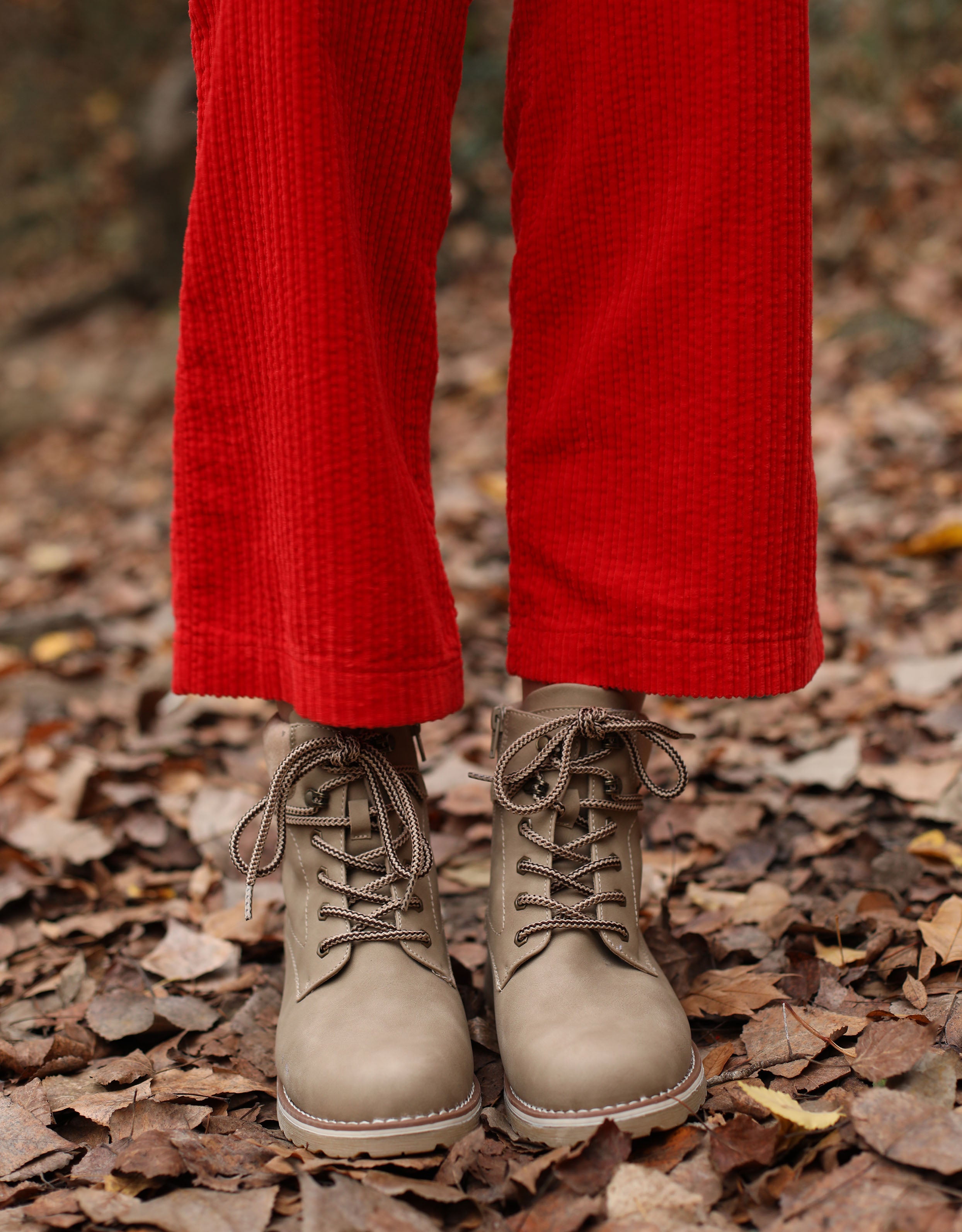 Actualiser 172109 Bottins en beige