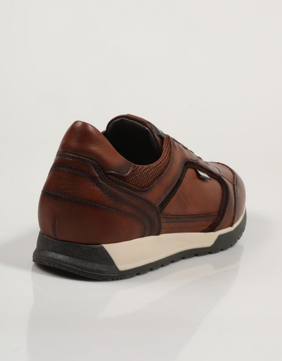 Cambil M5N 6247 C1 Pikolinos Shoes in Leather Color