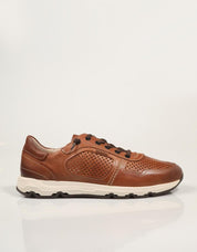 M8B 6384C1 Molinos Pikolinos Sneakers in leather