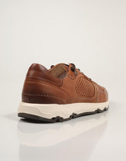 M8B 6384C1 Molinos Pikolinos Sneakers in leather
