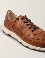 M8B 6384C1 Molinos Pikolinos Sneakers in leather