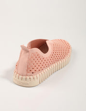 SAPT ILSE Tulip 3275 Sapatos em rosa