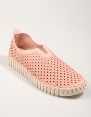 SAPT ILSE Tulip 3275 Sapatos em rosa