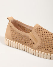 Sport Ilse Tulip 140 Men in Beige Color