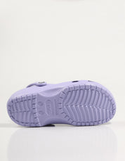 CROCS CLOGS CLÁSSICOS NA COR PURPLO