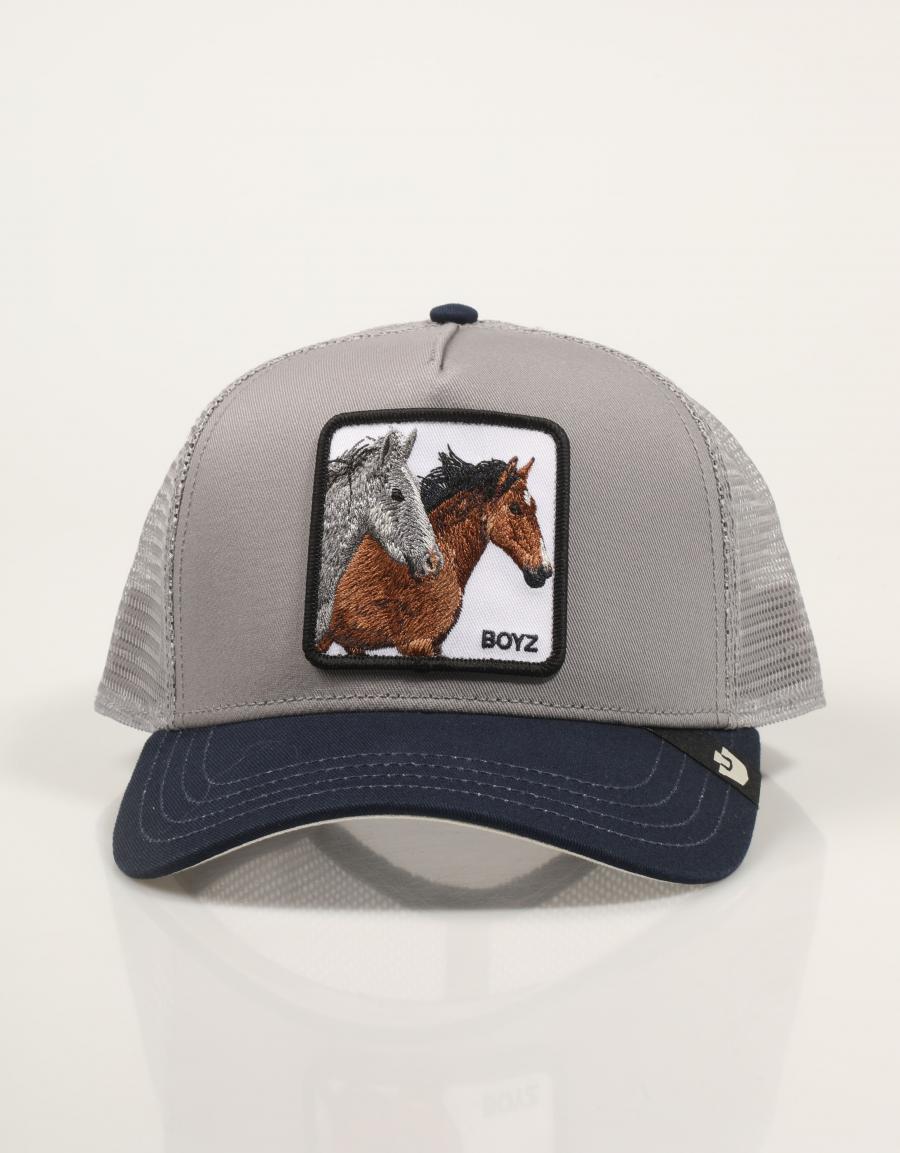 GORRA GOORIN BROS THE BOYZ 101-2283-GRY02 en color Gris