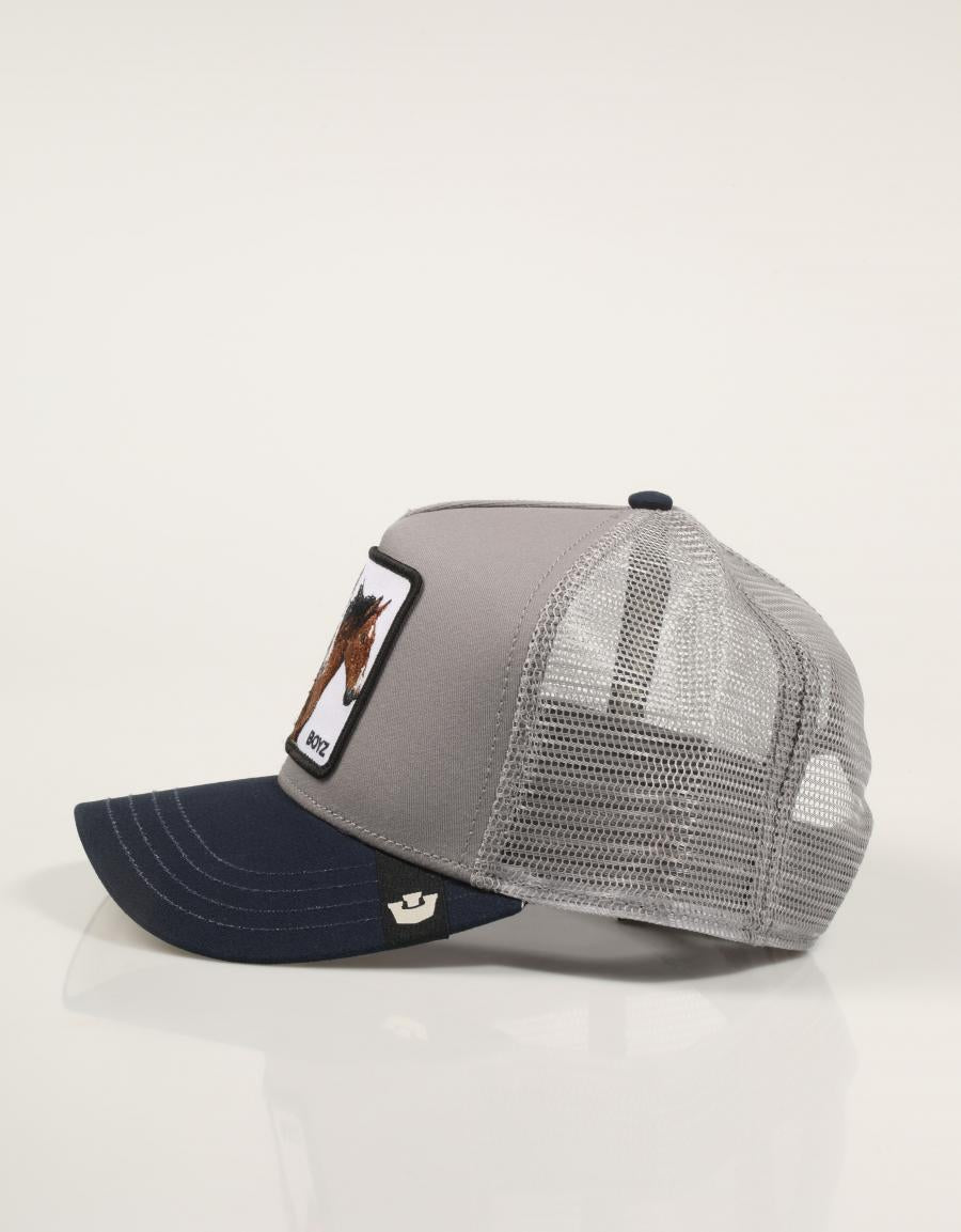 GORRA GOORIN BROS THE BOYZ 101-2283-GRY02 en color Gris