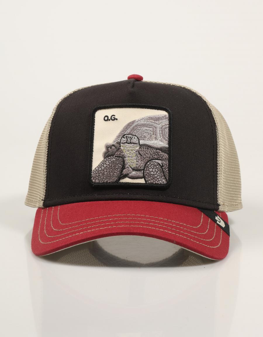 GORRA GOORIN BROS TRICOLOR TORTOISE 101-2337-MULTI en color Multicolor