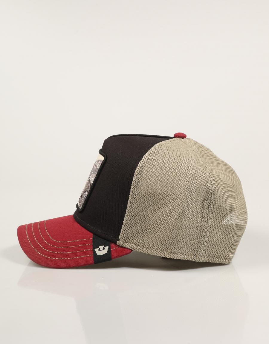 GORRA GOORIN BROS TRICOLOR TORTOISE 101-2337-MULTI en color Multicolor