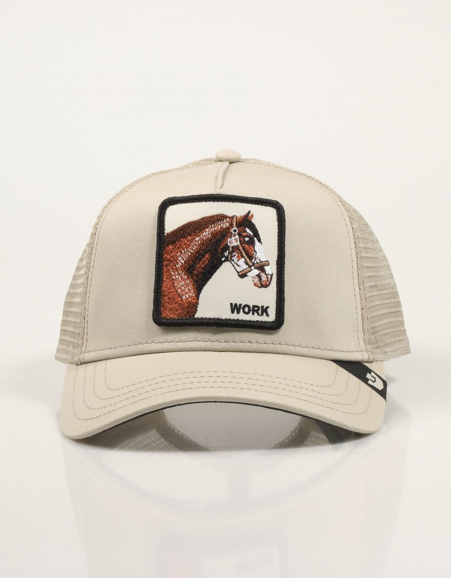 GORRA GOORIN BROS 101-2595-SCO01 en color Hielo