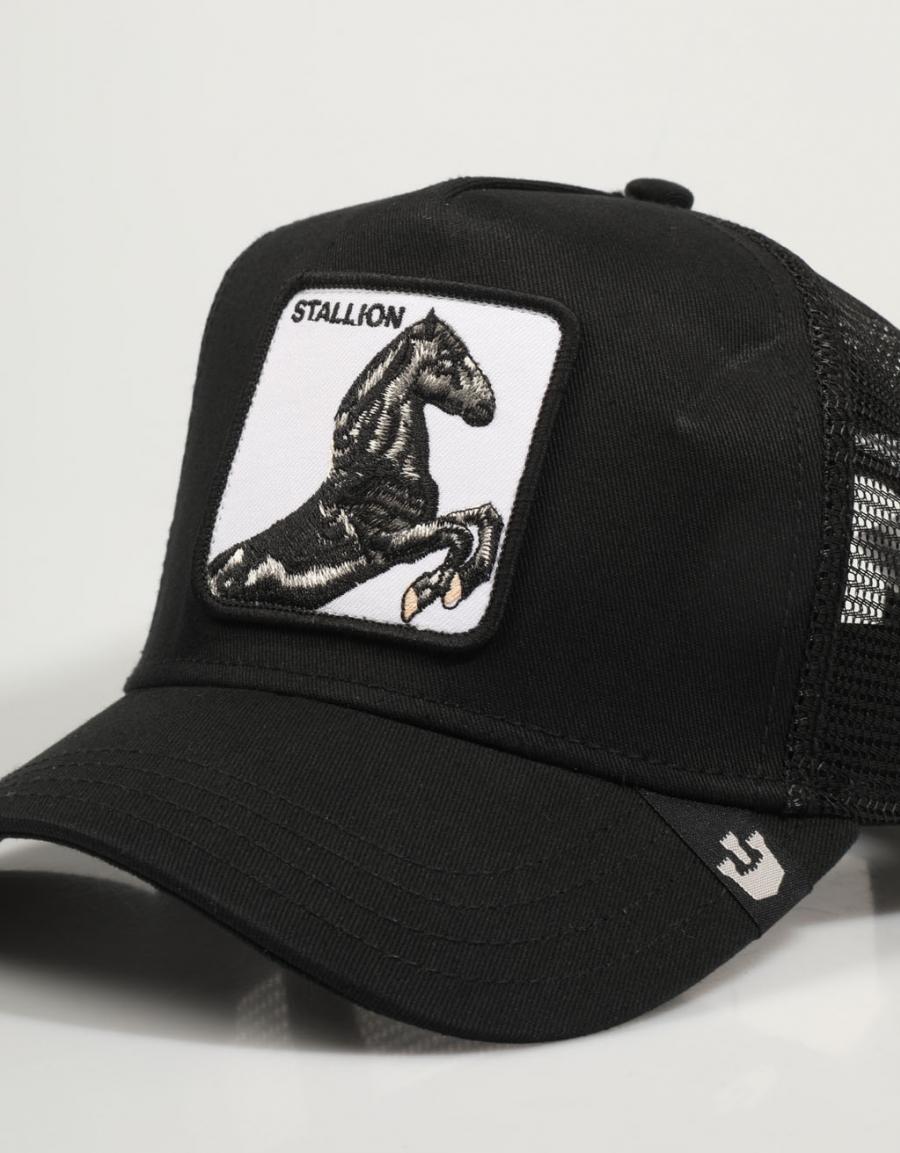 GORRA GOORIN BROS THE STALLION 101-0393 INGOIV