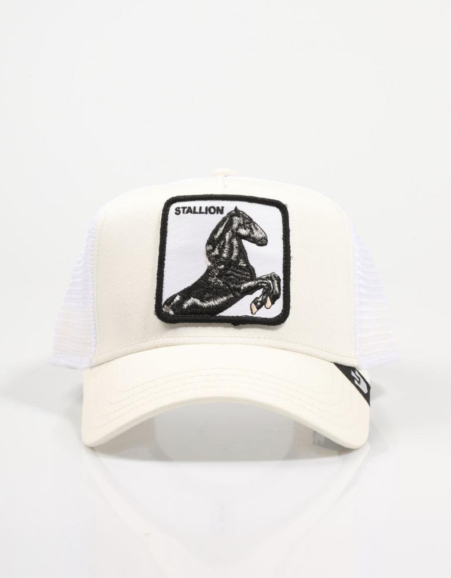 GORRA GOORIN BROS THE STALLION 101-0393 INGOIV