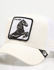 GORRA GOORIN BROS THE STALLION 101-0393 INGOIV