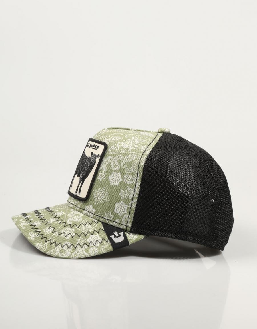 GORRA GOORIN BROS PASLEY 101 0947