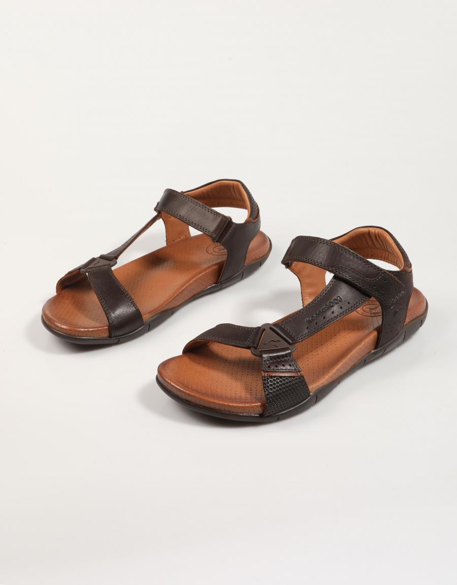 SANDALIAS KANGAROOS 856 en color Marron