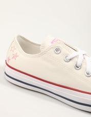 ZAPATILLAS CONVERSE CHUCK TAYLOR ALL STAR en color Hielo
