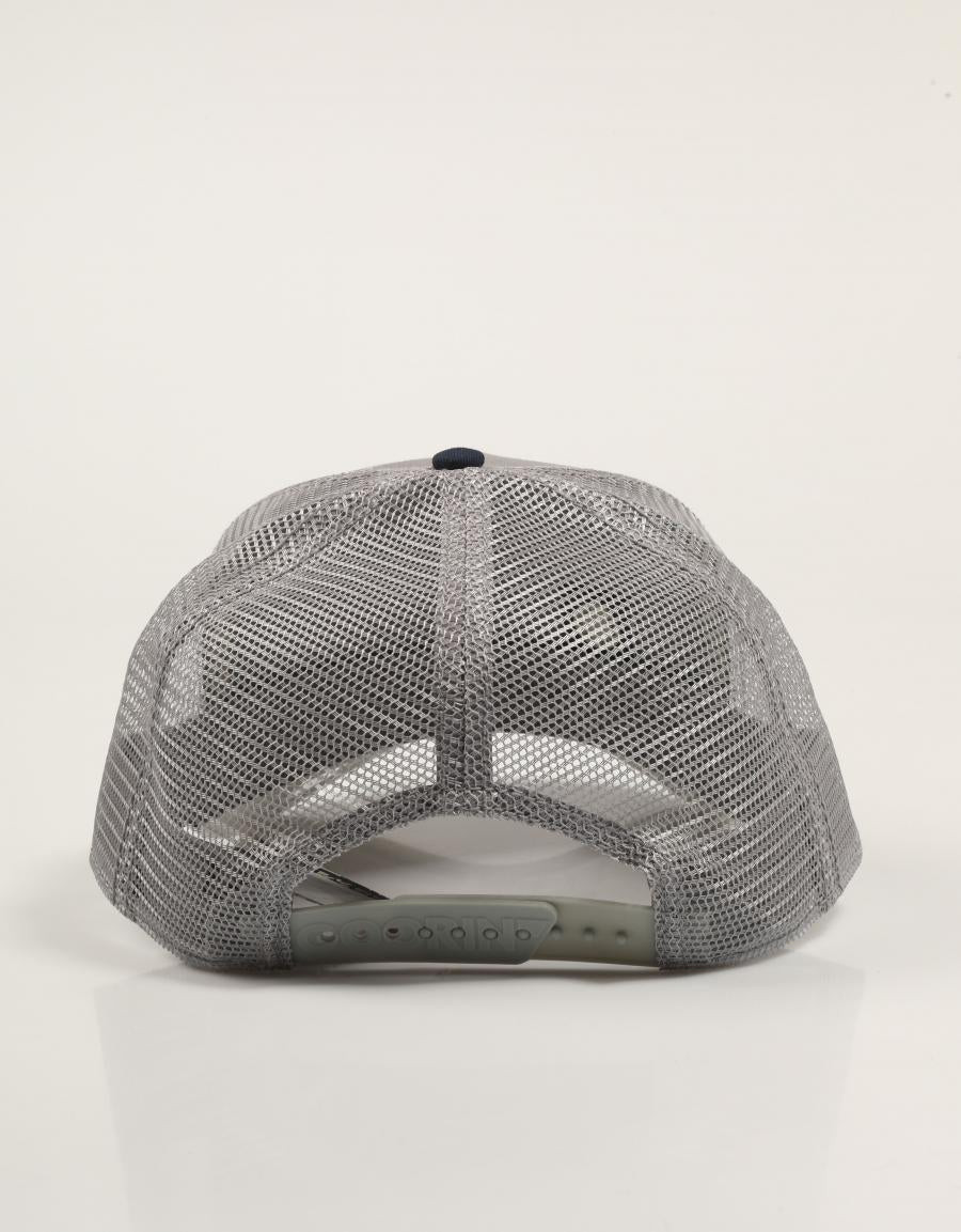 GORRA GOORIN BROS THE BOYZ 101-2283-GRY02 en color Gris