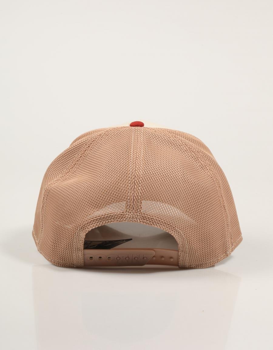 GORRA GOORIN BROS TRICOLOR FOX 101-2345-MULTI en color Beige