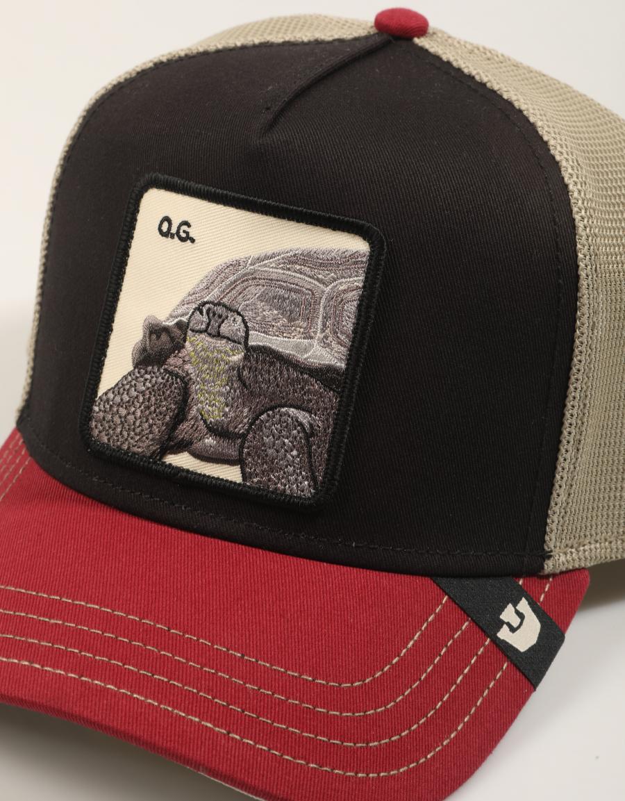 GORRA GOORIN BROS TRICOLOR TORTOISE 101-2337-MULTI en color Multicolor