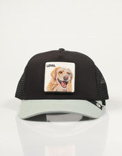 GORRA GOORIN BROS 101-0505-VOI05-O/S en color Negro