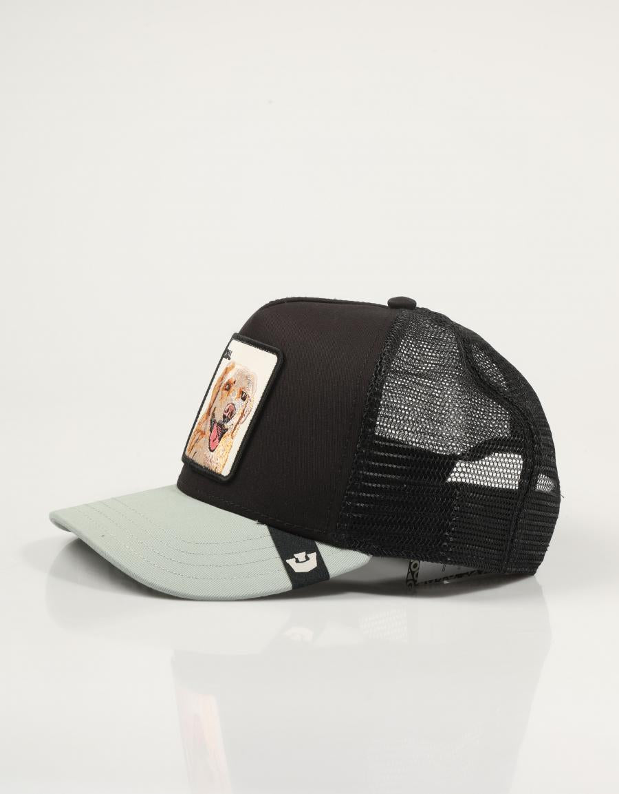 GORRA GOORIN BROS 101-0505-VOI05-O/S en color Negro