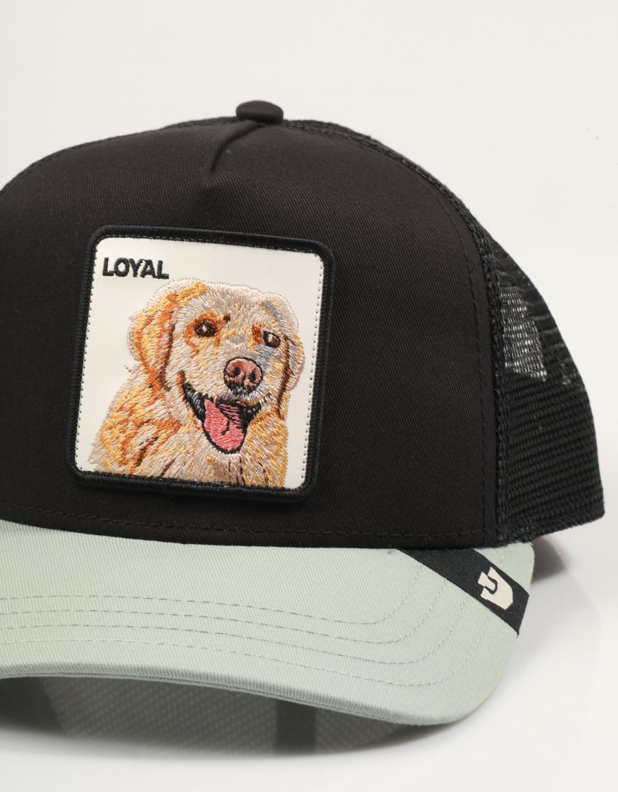 GORRA GOORIN BROS 101-0505-VOI05-O/S en color Negro