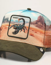 GORRA GOORIN BROS 101-2695-PAL01-O/S en color Multicolor