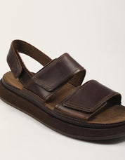 SANDALIAS TIMBERLAND CASCO COVE en color Marron