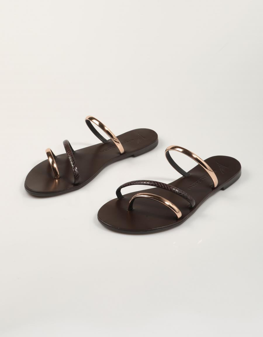 BROWN SNAKE en color Marron
