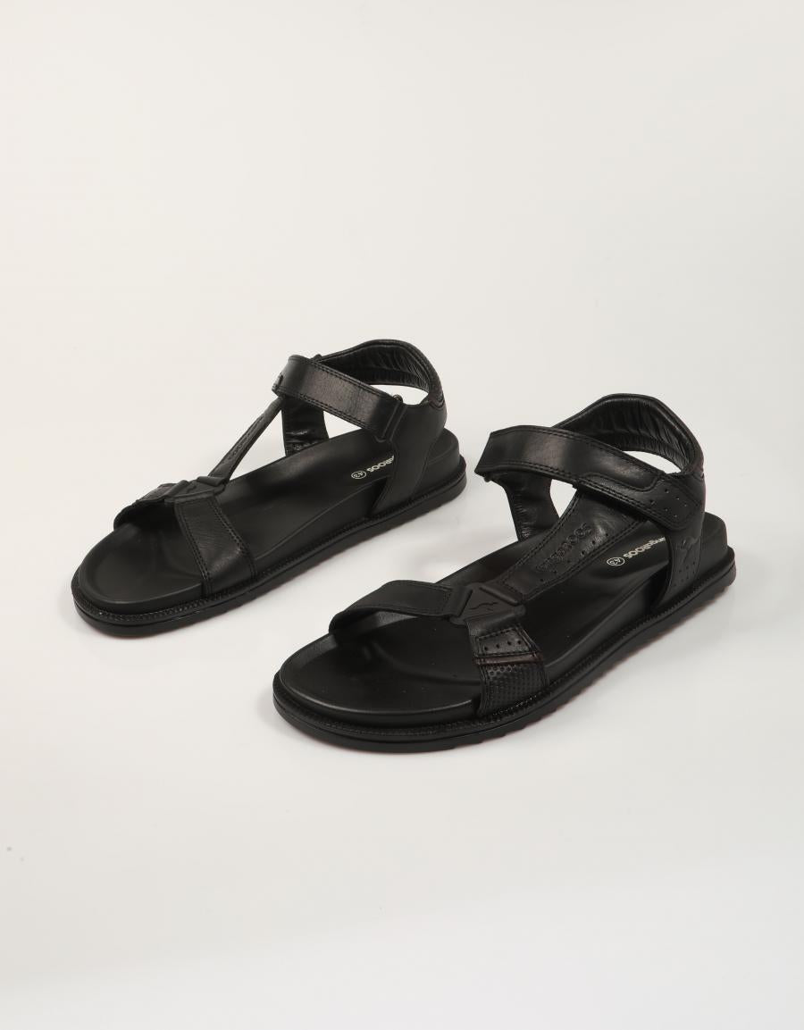 SANDALIAS KANGAROOS SANDALIA NEGRO en color Negro
