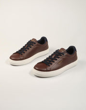 ZAPATILLAS PEPE JEANS CAMDEN MODE PMS000062 D.BROWN en color Marron