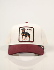 GORRA GOORIN BROS SUEDE ALPHA DUST 101-3829-DUS09 en color Blanco