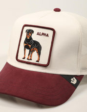 GORRA GOORIN BROS SUEDE ALPHA DUST 101-3829-DUS09 en color Blanco