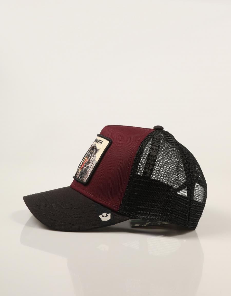 GORRA GOORIN BROS STRENGHT PANTHER DESIRE 101-2998-DES01 en color Burdeos