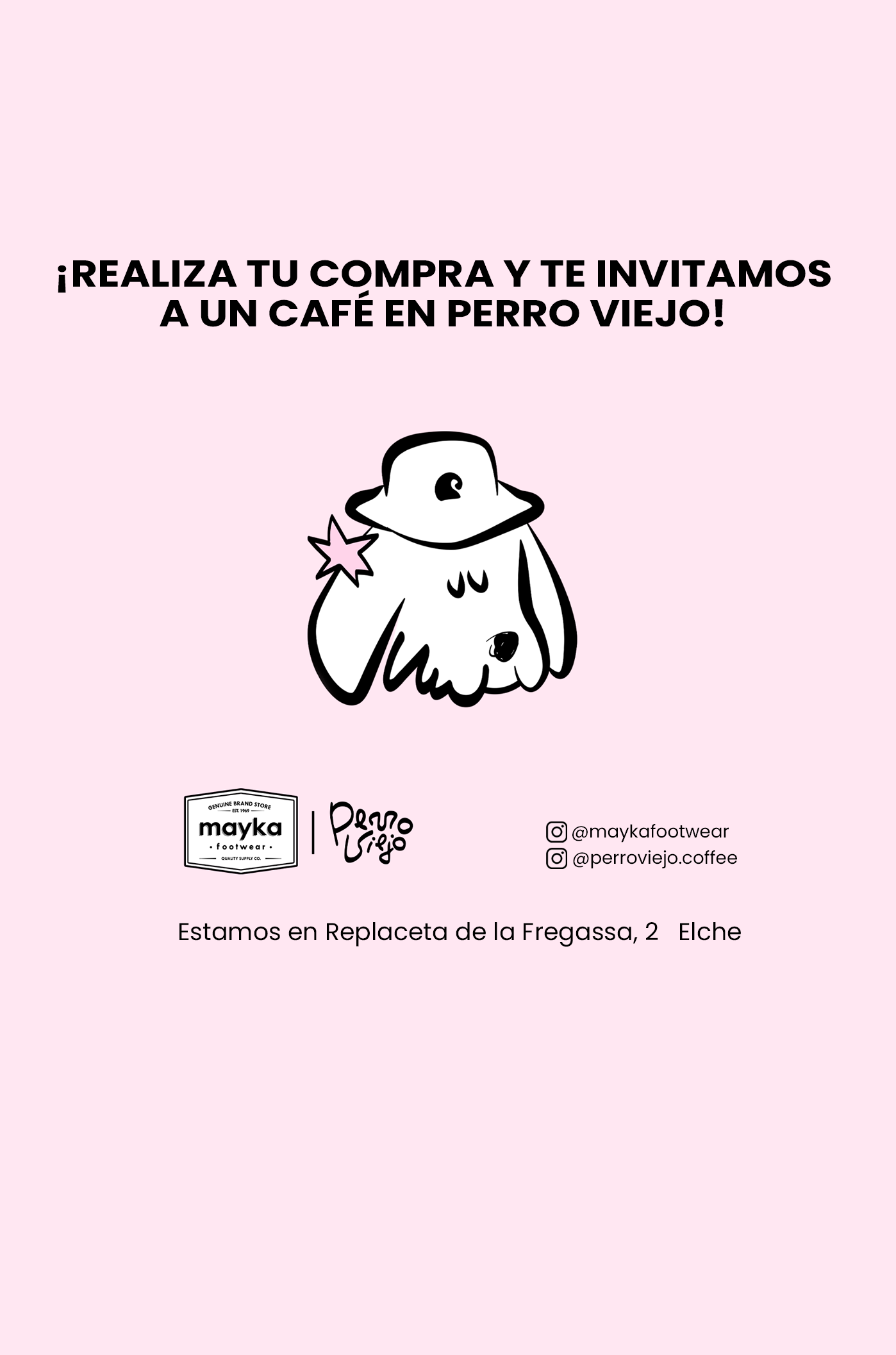 flyer-perro-viejo9.png
